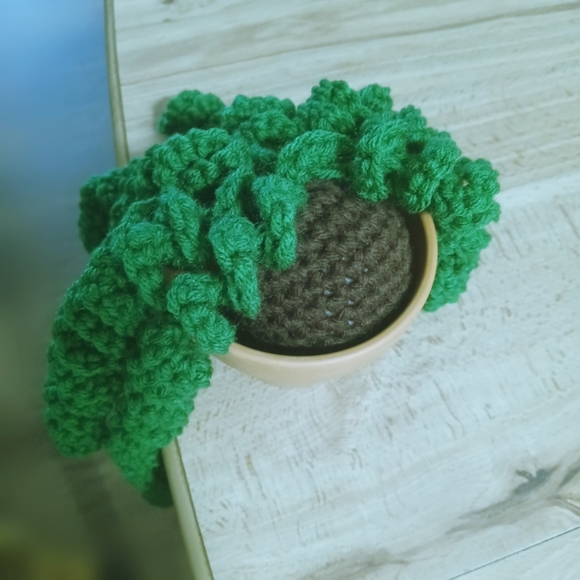 Handmade Dangling Curly Succulent Plant - Picture 4 of 4